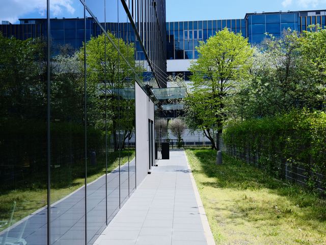 Büro- & Gewerbeimmobilien